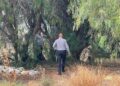 Encuentran a joven sin vida suspendido de un árbol en SLP