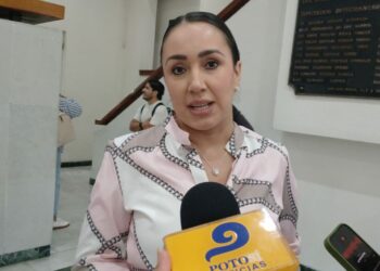 Diputada confía que próximas lluvias regresen caudal a la cascada de Tamul