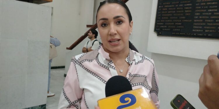 Diputada confía que próximas lluvias regresen caudal a la cascada de Tamul
