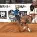 San Luis Potosí será sede de competencia internacional de reining en la Arena Potosí