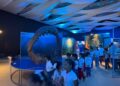 Últimos días de la exposición “Tiburones” en el Museo Laberinto de las ciencias y las artes