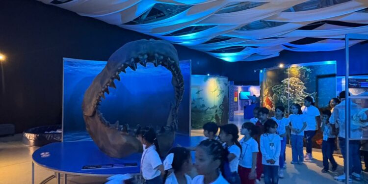 Últimos días de la exposición “Tiburones” en el Museo Laberinto de las ciencias y las artes