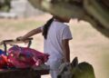 Más de 10 mil denuncias por delitos contra menores en SLP; solo 3.5% avanza en justicia