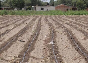 Reportan 17 municipios de la Huasteca potosina con sequía “anormalmente seca”