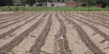 Reportan 17 municipios de la Huasteca potosina con sequía “anormalmente seca”