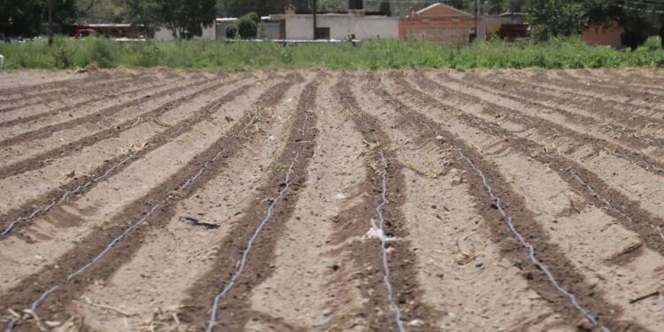 Reportan 17 municipios de la Huasteca potosina con sequía “anormalmente seca”