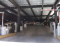 Congreso de SLP analiza regular estacionamientos públicos ante falta de garantías a usuarios