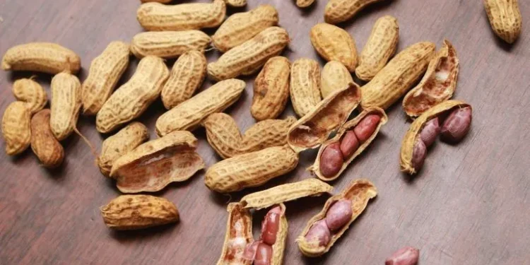 ¿Qué pasa si comes cacahuates todos los días?