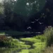 Horror en Portugal: abandonan a dos niños en plena carretera tras engañarlos con un “juego”