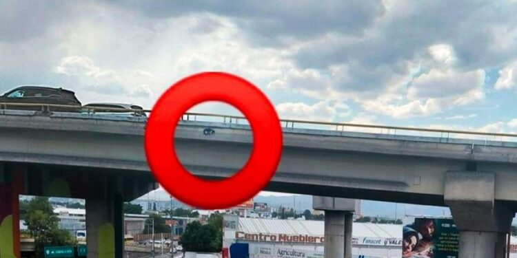 Rescatan a gatito atrapado en lo alto del Distribuidor Juárez