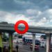 Rescatan a gatito atrapado en lo alto del Distribuidor Juárez