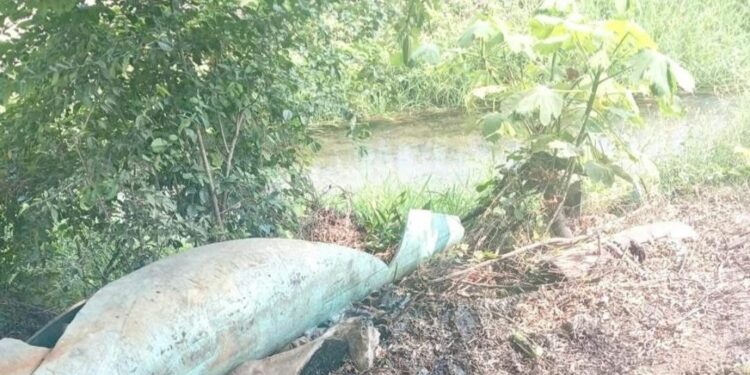 Denuncian presunta contaminación del río Gallinas en Tamasopo
