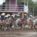 Charras RG2 se coronan campeonas en la Feria de San Marcos