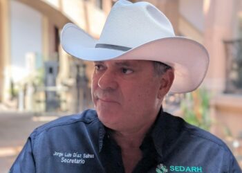 El gusano barrenador ha llegado prácticamente a todo el estado: Sedarh