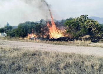 Gobierno de la Capital atiende incendios en la Delegación Bocas y evita daños mayores