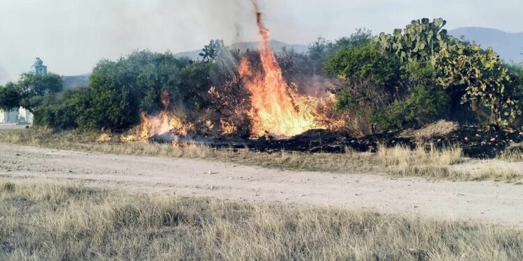 Gobierno de la Capital atiende incendios en la Delegación Bocas y evita daños mayores