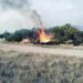 Gobierno de la Capital atiende incendios en la Delegación Bocas y evita daños mayores