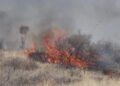 San Luis Potosí, segundo lugar nacional en superficie afectada por incendios forestales