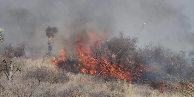 San Luis Potosí, segundo lugar nacional en superficie afectada por incendios forestales