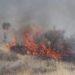 San Luis Potosí, segundo lugar nacional en superficie afectada por incendios forestales