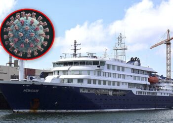 OMS alerta por tres muertes por hantavirus en crucero que navegaba del sur de Argentina a Canarias