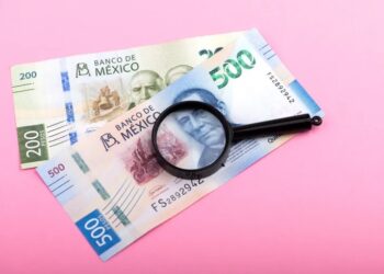 Al menos 10 ayuntamientos de SLP incumplen con transparencia en nóminas: CEFIM