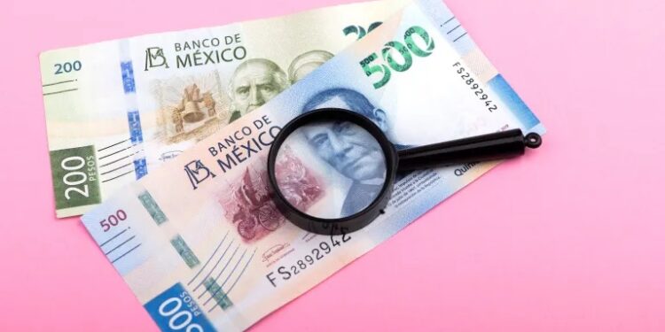 Al menos 10 ayuntamientos de SLP incumplen con transparencia en nóminas: CEFIM