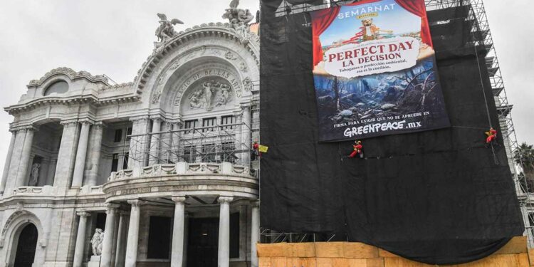 Greenpeace alza la voz contra el proyecto Perfect Day en Mahahual; Semarnat responde