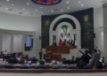 El Pleno del Congreso rechazó instaurar “Día de la Niña y el Niño por Nacer”