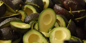 Si siempre tiras la cáscara del aguacate, estás desperdiciando un auténtico tesoro para tu hogar
