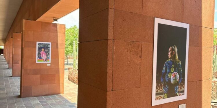 Exposición fotográfica “Pasión potosina, dos ramas, una misma afición” llega al Museo Laberinto