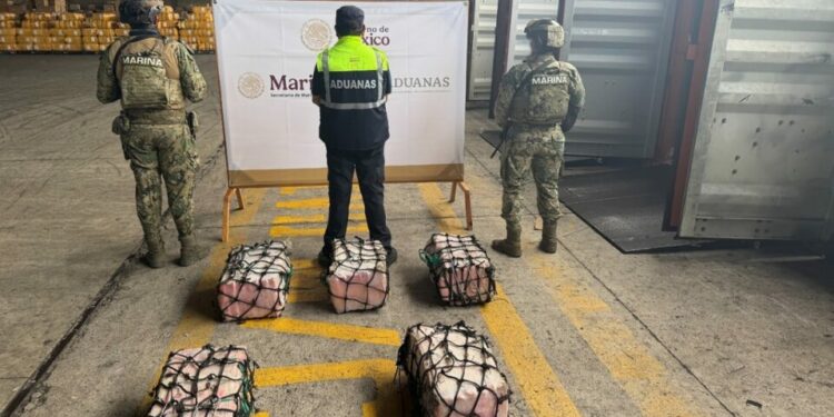 Decomisan 137 kilos de cocaína en puerto de Lázaro Cárdenas; detienen a cinco personas