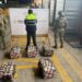 Decomisan 137 kilos de cocaína en puerto de Lázaro Cárdenas; detienen a cinco personas