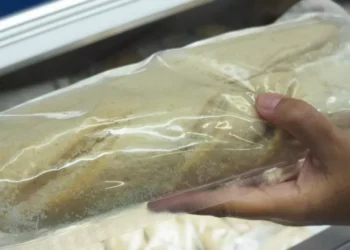 Por qué cada vez más personas congelan el pan antes de comerlo: estos son sus beneficios