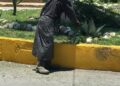 Realizan trabajos de limpieza y mantenimiento en accesos de La Pila
