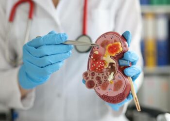 Día Mundial del Cáncer de Riñón: la importancia de cuidar un órgano clave para la salud