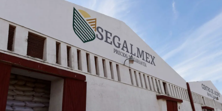 Tribunal impone multa de 777.8 millones de pesos a René Gavira y tres exfuncionarios más por presuntos desvíos en Segalmex