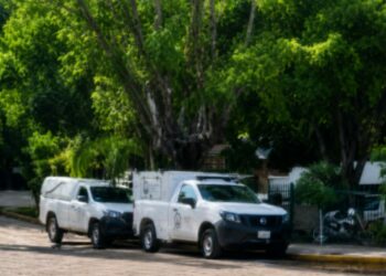Muere hombre tras ataque de abejas en Tamasopo