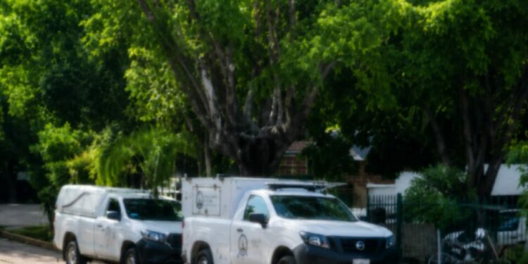 Muere hombre tras ataque de abejas en Tamasopo