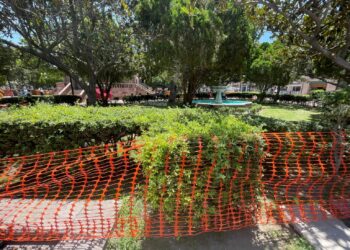 Daños en Plaza de Armas obligarán a replantear rehabilitación de áreas verdes