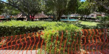 Daños en Plaza de Armas obligarán a replantear rehabilitación de áreas verdes
