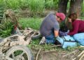 Sismo en Mérida: terremoto en el Caribe se siente en municipios de Yucatán