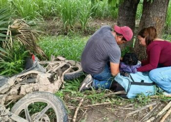 Sismo en Mérida: terremoto en el Caribe se siente en municipios de Yucatán