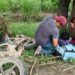 Sismo en Mérida: terremoto en el Caribe se siente en municipios de Yucatán