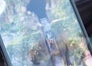 VIDEO | Adolescente cae desde 15 metros de altura en una atracción de Disneyland