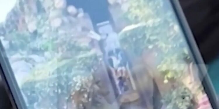 VIDEO | Adolescente cae desde 15 metros de altura en una atracción de Disneyland