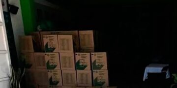 Diputados del PVEM descartan irregularidades por almacenamiento de despensas en sede partidista de Villa de Reyes
