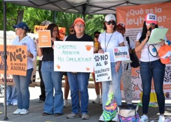Colectivos animalistas solicitan audiencia con alcalde de Soledad tras muerte de dos perros