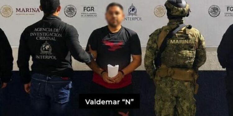 Capturan al ‘Valdo’, presunto operador del Cártel del Golfo.