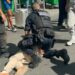 Terror en París: tres mujeres heridas en ataque con cuchillos